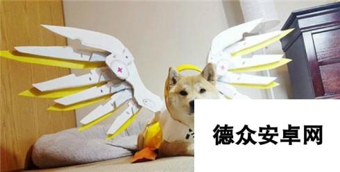 当Doge遇上OW 柴犬神COS守望先锋英雄